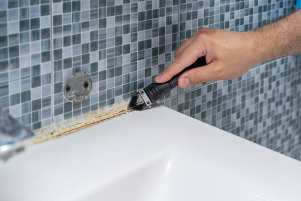 Best Commercial Mold Removal  in Hull, IA