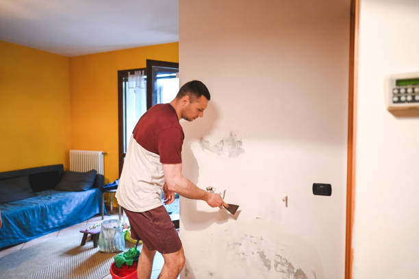 Best Attic Mold Removal  in Hull, IA
